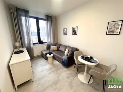Kawalerka do wynajęcia, 20 m² Centrum - miniatura 5