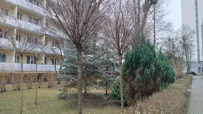Mieszkanie do wynajęcia, 36 m² Rataje