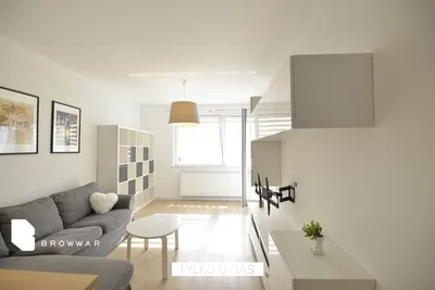 Mieszkanie do wynajęcia, 55 m² Poznań - miniatura 4