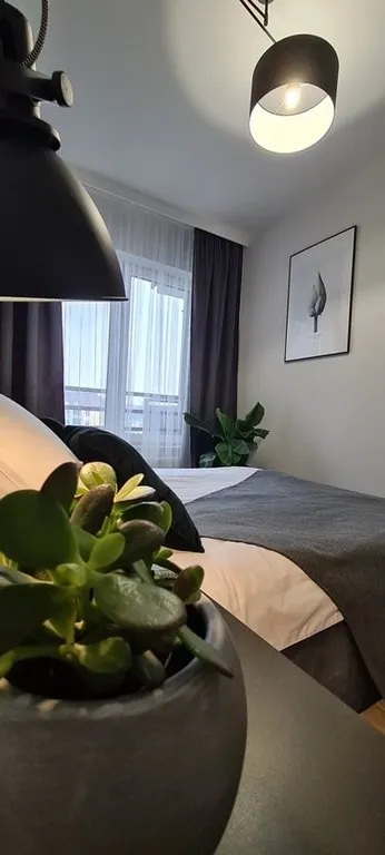 Mieszkanie do wynajęcia, 38 m² Wieluń - miniatura 4