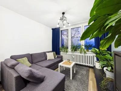 Wynajmę Mieszkanie Katowice - 40,77 m²