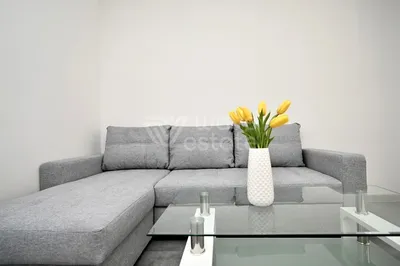 Wynajmę Mieszkanie Katowice - 25,09 m² - miniatura 3