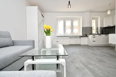 Wynajmę Mieszkanie Katowice - 25,09 m² - miniatura 2