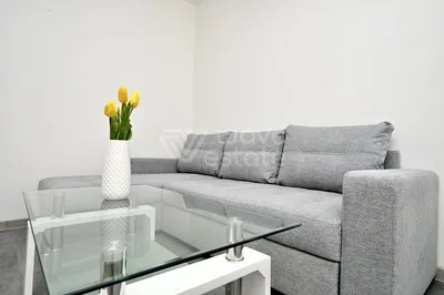 Wynajmę Mieszkanie Katowice - 25,09 m² - miniatura 4