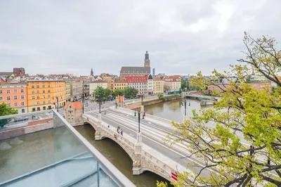 Wynajmę Mieszkanie Wrocław - 118 m² - miniatura 5