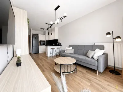 Jasny salon z aneksem kuchennym w nowoczesnym mieszkaniu na wynajem, z szarą sofą, stolikiem kawowym, drewnianą podłogą, zabudową kuchenną i minimalistycznym oświetleniem.