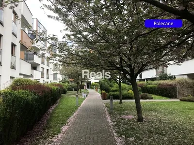 Wynajmę Mieszkanie Warszawa - 50 m² - miniatura 3