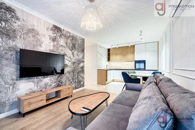 Wynajmę Mieszkanie Łódź - 54,35 m² - miniatura 2