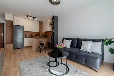 Wynajmę Mieszkanie Łódź - 39,89 m² - miniatura 2