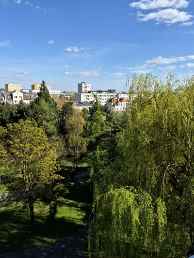 Wynajmę Mieszkanie Poznań - 27 m² - miniatura 5