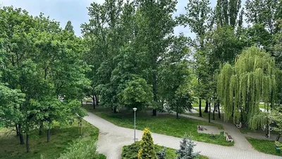 Wynajmę Mieszkanie Poznań - 37 m² - miniatura 5