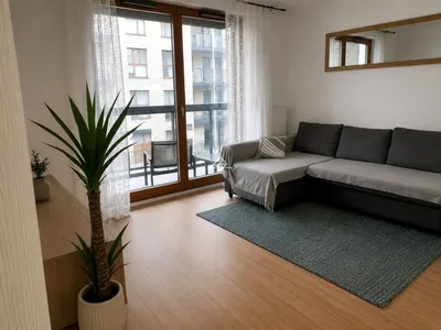 Wynajmę Mieszkanie Gdańsk - 60 m² - miniatura 2