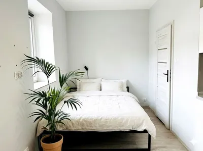 Wynajmę Mieszkanie Łódź - 30 m²