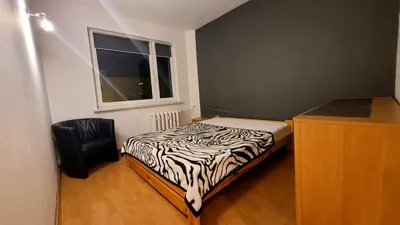 Wynajmę Mieszkanie Katowice - 60 m² - miniatura 5