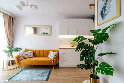 Wynajmę Mieszkanie Gdańsk - 38 m²