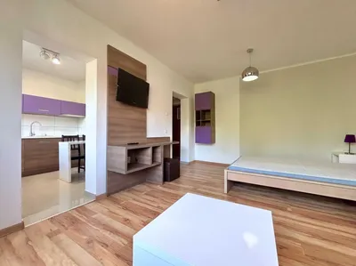 Przestronna kawalerka z balkonem i osobną kuchnią w Centrum (Jasne Błonia / Urząd Miasta) - miniatura 4