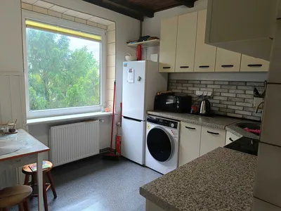 Duży pokój wolny od zaraz - miniatura 4