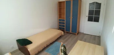 Fajny pokój dla osoby lubiącej koty, Prądnik Czerwony