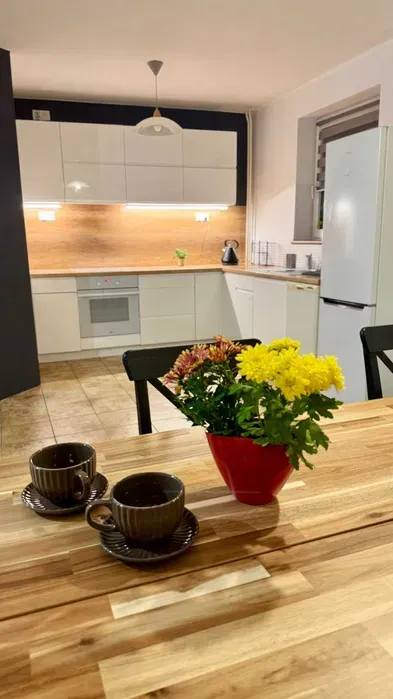 Atrakcyjne 52m² mieszkanie typu studio - bez prowizji! - miniatura 2