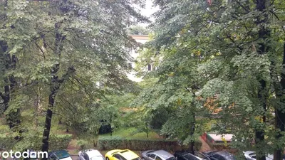 Pokój do wynajęcia w centrum Krakowa, Hala Targowa na Grzegórzkach - miniatura 4