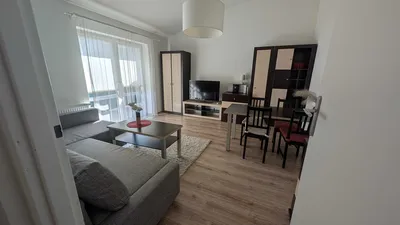 Kliny Borkowskie -właściciel wynajmnie 50 metrów
