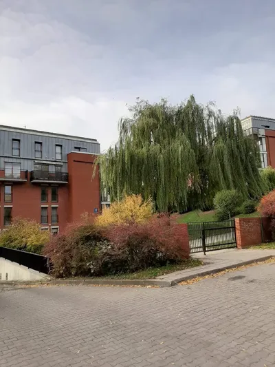 Idealna lokalizacja i warunki. Blisko uczelni. Do wynajecia pokoje LSM - miniatura 3