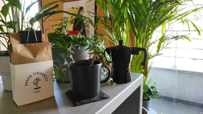 Do wynajęcia pokój w nowoczesnym piętrowym apartamencie przy metrze Pole Mokotowskie - miniatura 5