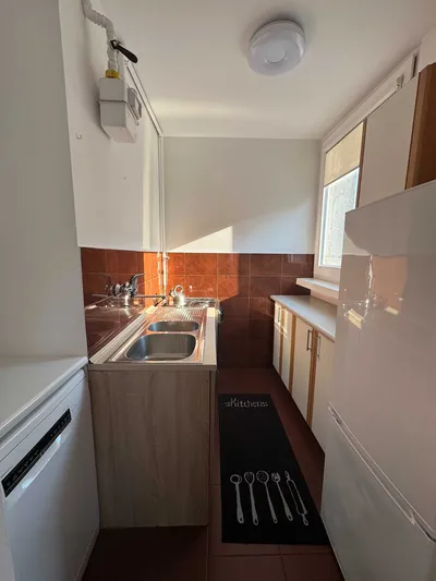3 pokoje I 47 m2 I parter I Łódź, ul. Przyborowskiego 9 I balkon - miniatura 4