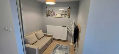 Nowa kawalerka do wynajęcia od zaraz - miniatura 3