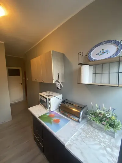 Kawalerka do wynajęcia Wyżyny - miniatura 5