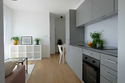 Mieszkanie dwupokojowe 32m2 - miniatura 2