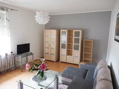 Kawalerka do wynajęcia oś.Leśne 41 m. - miniatura 2