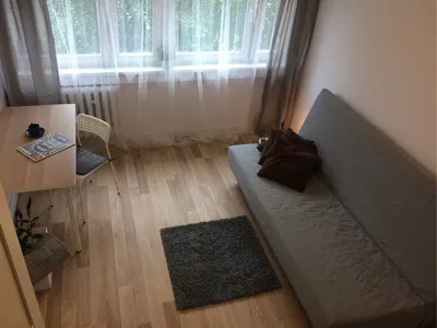 Pokój do wynajęcia - miniatura 3