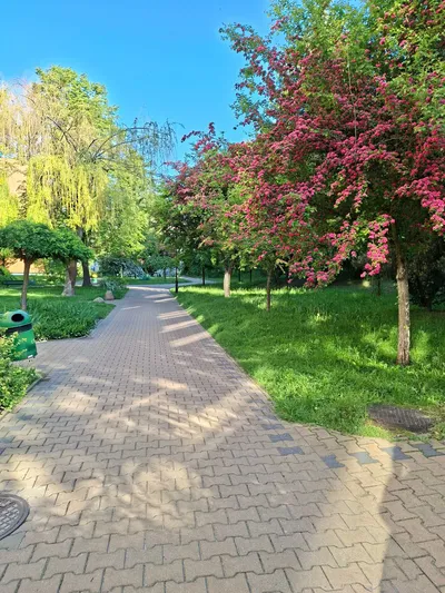 Mieszkanie na wynajem Zana LSM 3 pokoje - miniatura 5