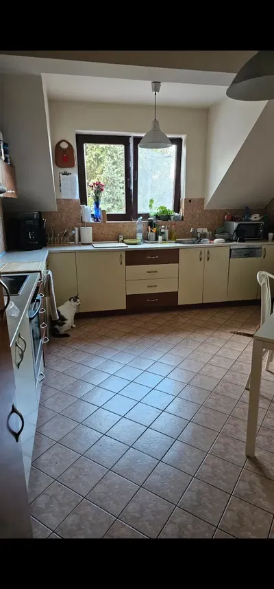 Pokój dla zwierzolubnej kociary - miniatura 5