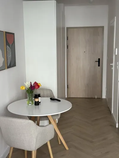 Nowoczesny apartament z ogródkiem | Belg Apartamenty – Katowice - miniatura 5