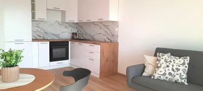 Nowy Budynek w centrum Torunia, 2 pokoje - 1 piętro - miniatura 5