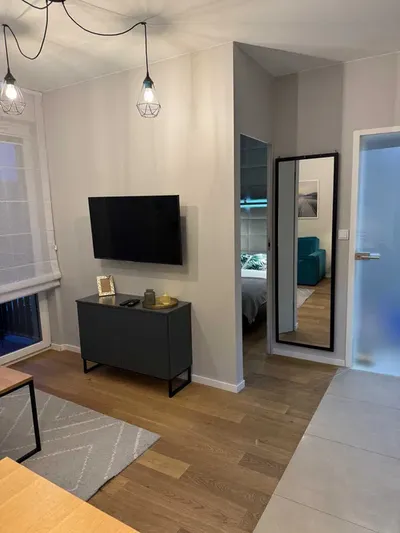 Mieszkanie,apartament w Centrum Krakowa na wynajem - miniatura 3
