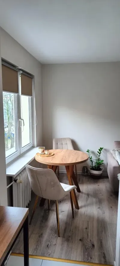 Mieszkanie na wynajem 40m2 blisko parku - po generalnym remoncie - miniatura 3