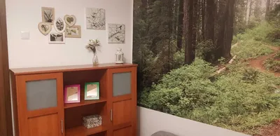 LUX po remoncie duży pokój wynajmę Kiwerskiego 3 Kalinowszczyzna - miniatura 2