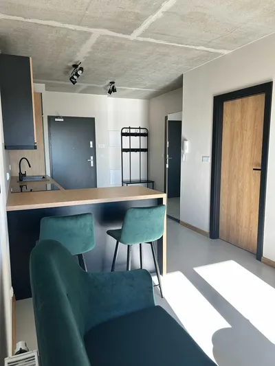 2 pokoje 38m Mieszkanie/Apartamentowiec, winda, nowe Srebrzyńska 12 Polesie, piętro 7 + garaż w hali, TV 55 - miniatura 2