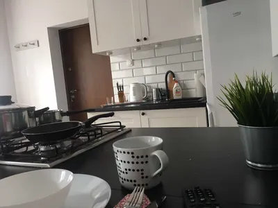 Wynajmę przestronne i umeblowane mieszkanie blisko Atosa!!! - miniatura 2