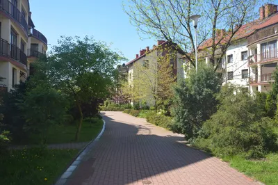 Ptasie Osiedle Brynów 2 pokoje - miniatura 2