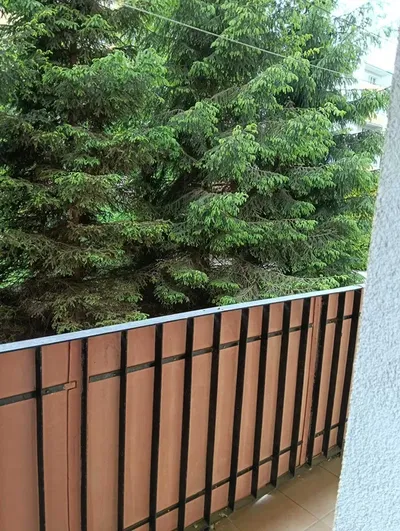 Wynajmę mieszkanie – Poznań, os. Rzeczypospolitej | 3 pokoje | idealne dla studentów - miniatura 5
