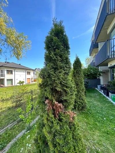 Mieszkanie SKOWRONIA – Kraków | 37 m² z dużym ogrodem 95 m²