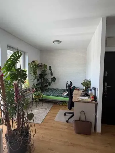 Mieszkanie w centrum Krakowa - miniatura 5