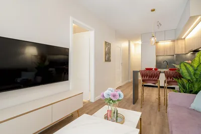 Mieszkanie na wynajem | 42 m2 | Klimatyzacja | Umeblowane | Garaż - miniatura 3
