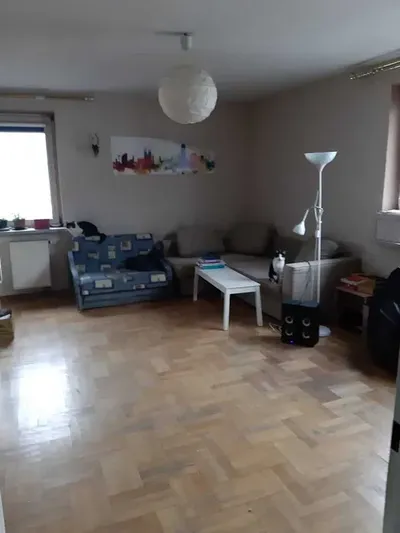 Mieszkanie 57m2 na Kozłówce, 15min do centrum, jasne, balkon, 2 pokoje, cena z mediami - miniatura 5