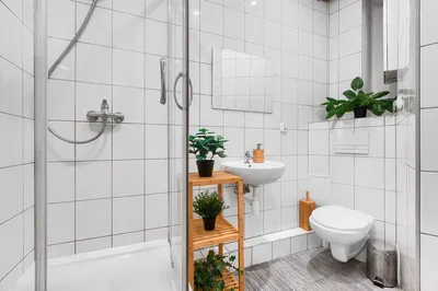 Elegancki pokój po remoncie CENTRUM, AVENIDA, również na 2-3 miesiące - miniatura 5