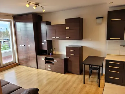 Mieszkanie 34m z 12 m tarasem. ul. Mosiężna, boczna Grabiszyńskiej - miniatura 3